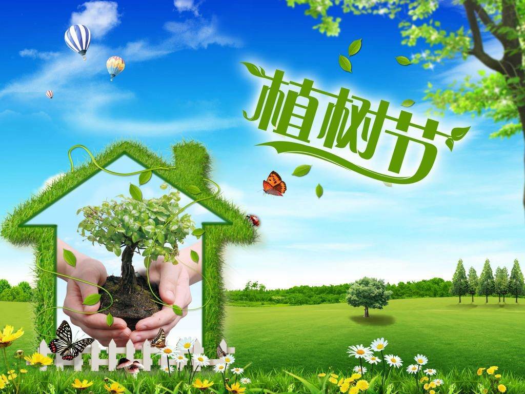 北京現(xiàn)代“智現(xiàn)代，植未來”，你我共建森林邵陽